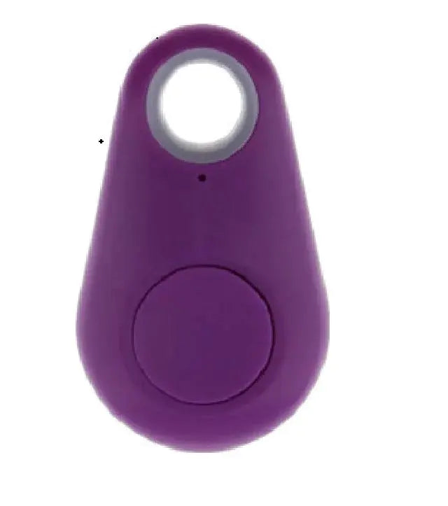 Pet Smart GPS Tracker