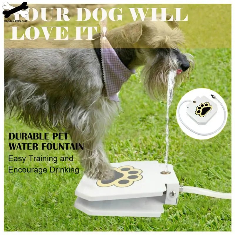 Automatic Dog Drinking Fountain - Pawfect Puppies