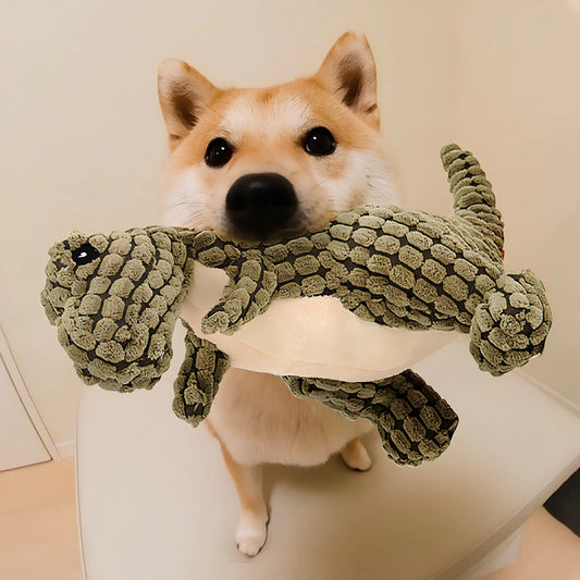 Dinosaur Dog Toy - Pawfect Puppies