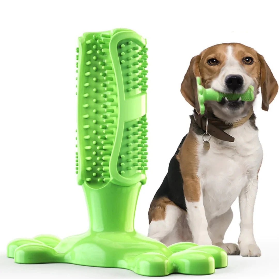 Dog Dental Care Kit - Pawfect Puppies